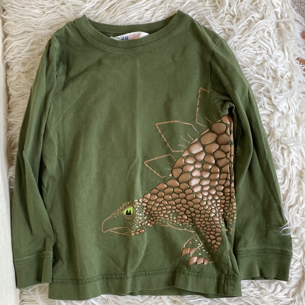 HM 3-D scale dinosaur shirt long sleeve